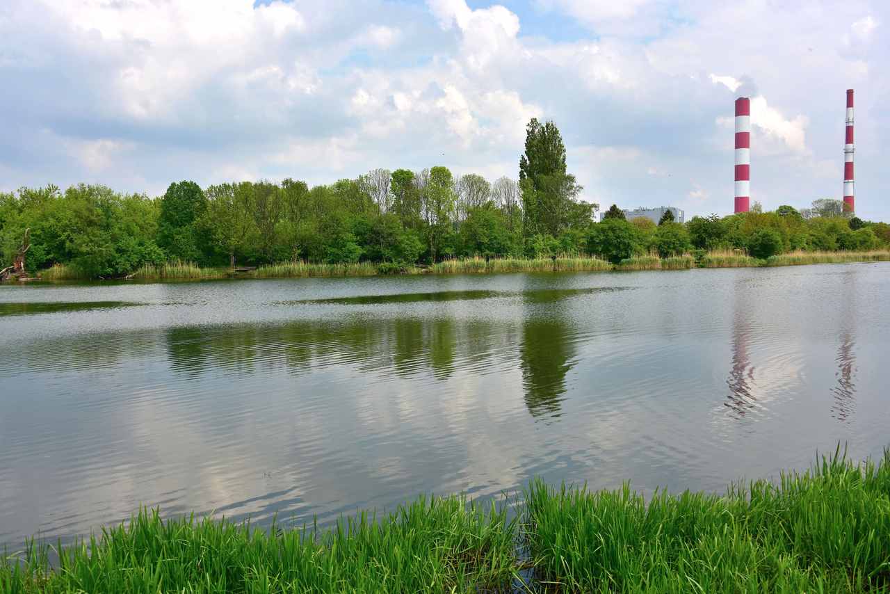 Jeziorko Czerniakowskie - zdjęcie akwenu, nad którym leży Jeziorko Czerniakowskie
