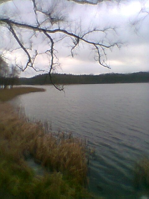 Jezioro Kórnickie - zdjęcie akwenu, nad którym leży Kąpielisko OAZA-BŁONIE na Jeziorze Kórnickim w Kórniku