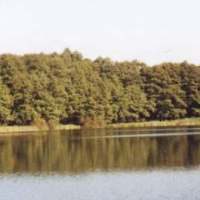 Jezioro Lidzbarskie - zdjęcie akwenu, nad którym leży Kąpielisko przy plaży miejskiej w Lidzbarku