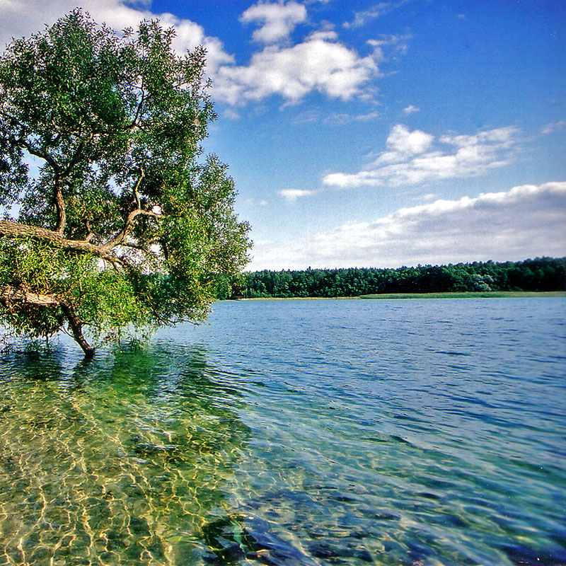 Jezioro Lubikowskie - zdjęcie akwenu