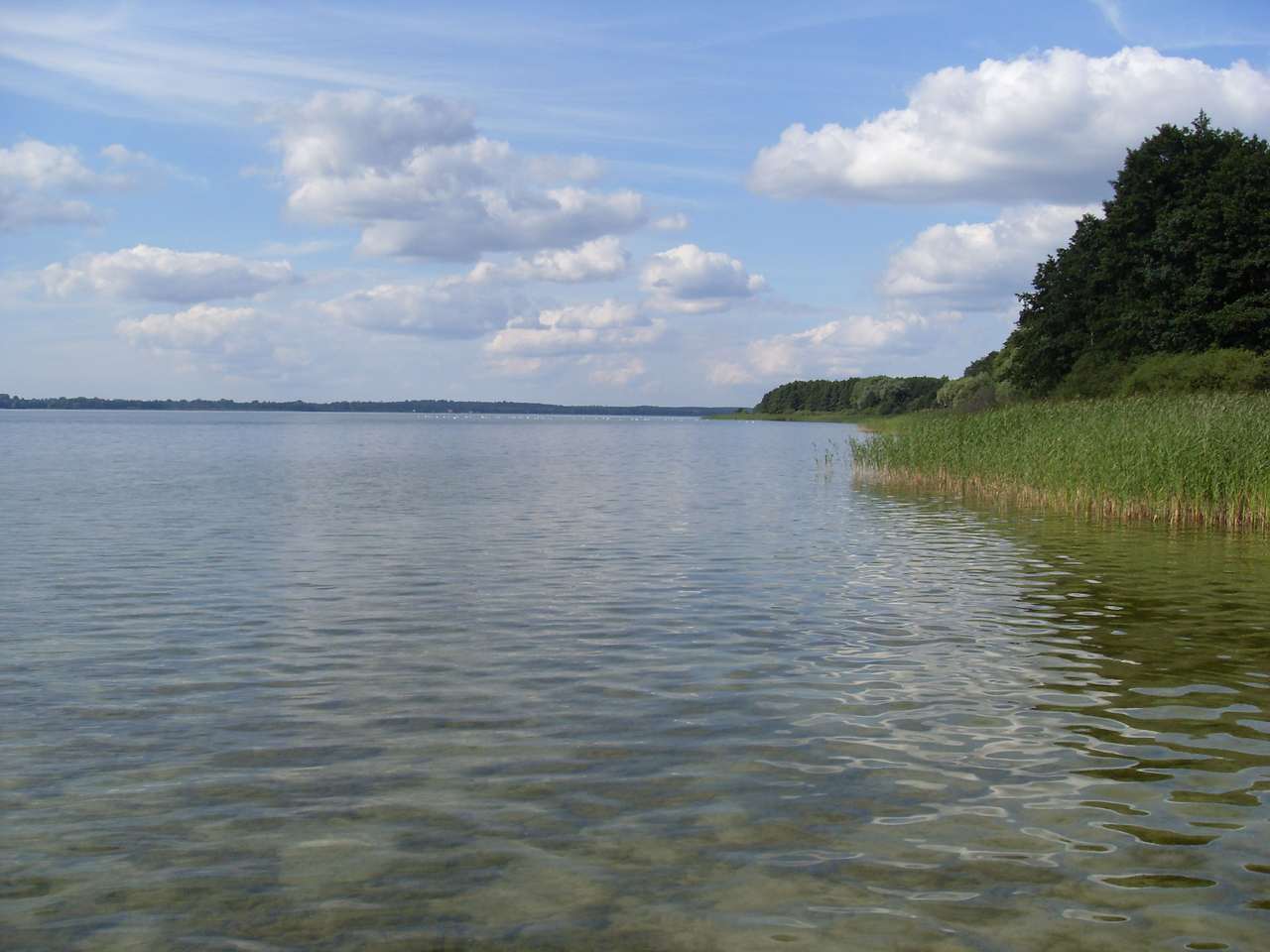 Jezioro Miedwie - akwen w województwie zachodniopomorskim