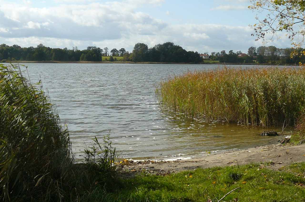 Jezioro Niepruszewskie - zdjęcie akwenu, nad którym leży Kąpielisko OWOCOWA PLAŻA W ZBOROWIE