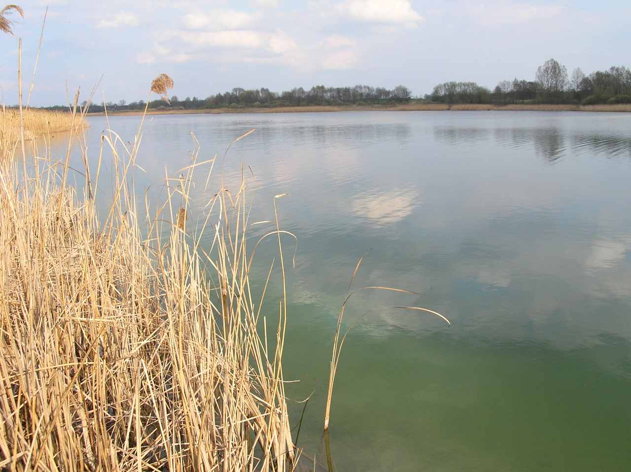 Jezioro Wilczyńskie - zdjęcie akwenu, nad którym leży Kąpielisko na Jeziorze Wilczyńskim zlokalizowane w Ośrodku Aktywnego Wypoczynku SUN SPORT Mrówki-Kownaty