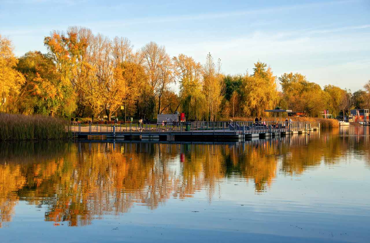 Staw Stawiki - zdjęcie akwenu, nad którym leży Stawiki Sosnowiec ul. Kresowa